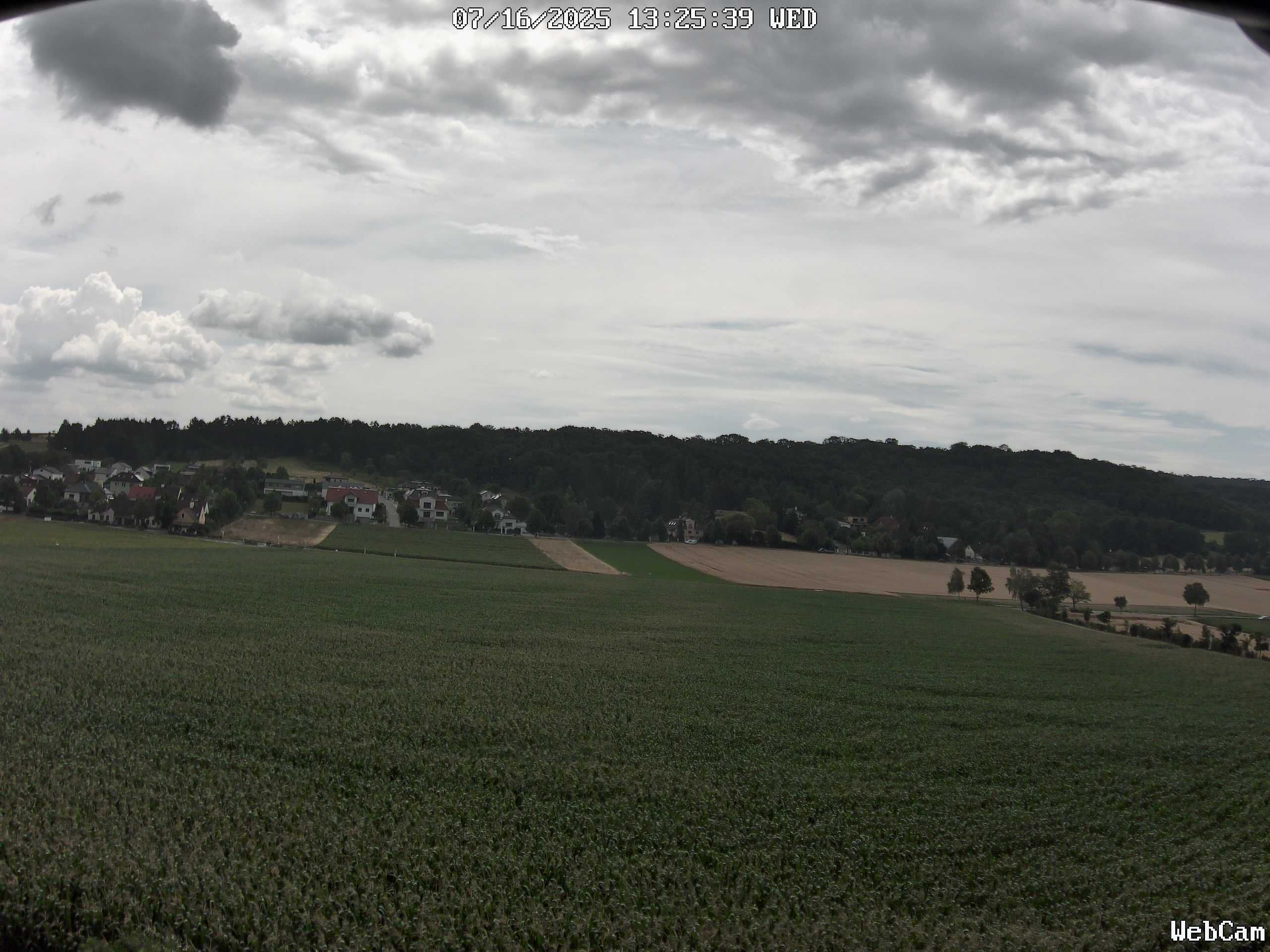Live Reolink Camera Image